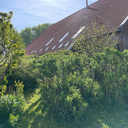 Ferienhof Spiegelhaus Krummhoern Ngoại thất bức ảnh