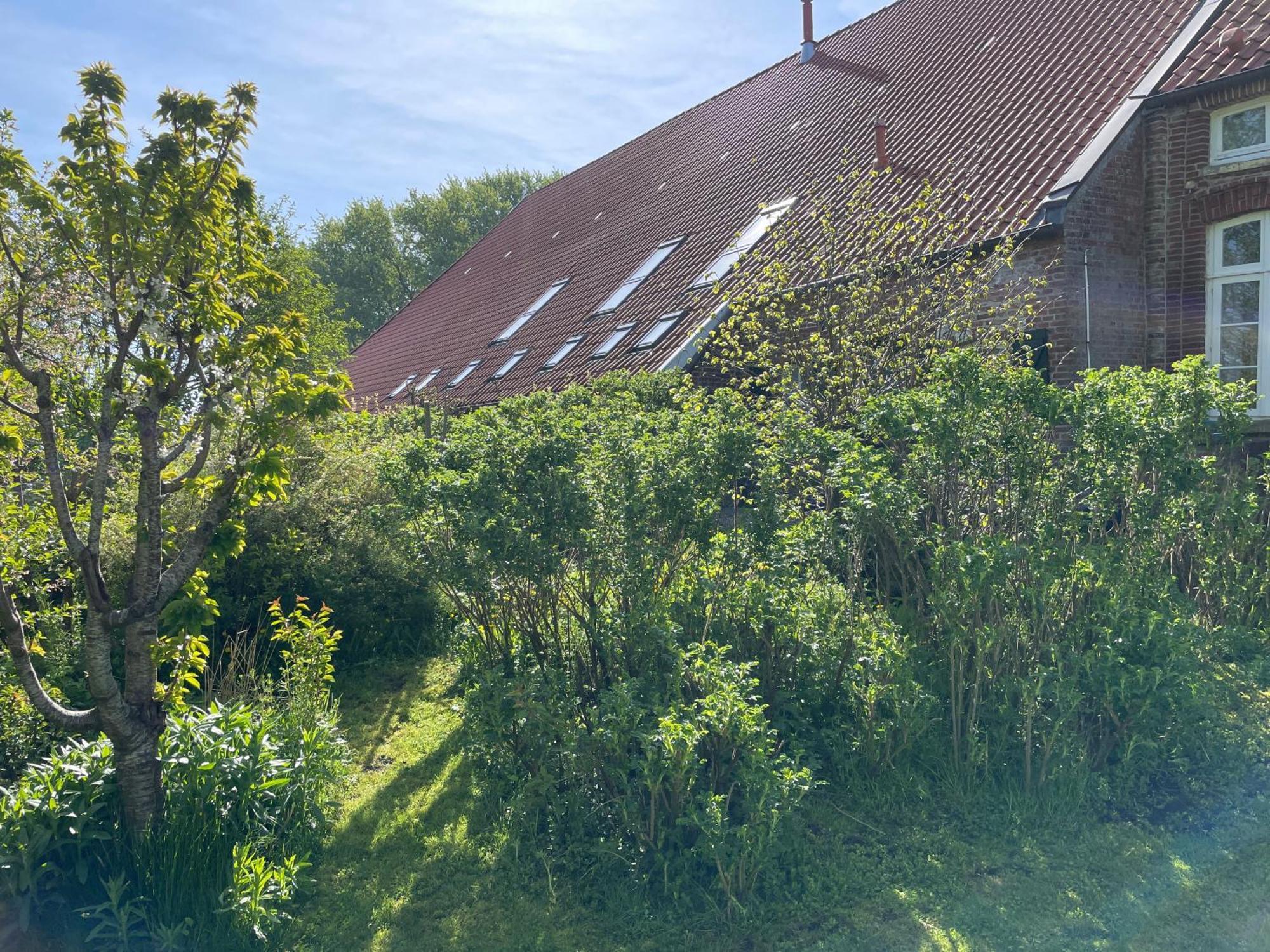 Ferienhof Spiegelhaus Krummhoern Ngoại thất bức ảnh